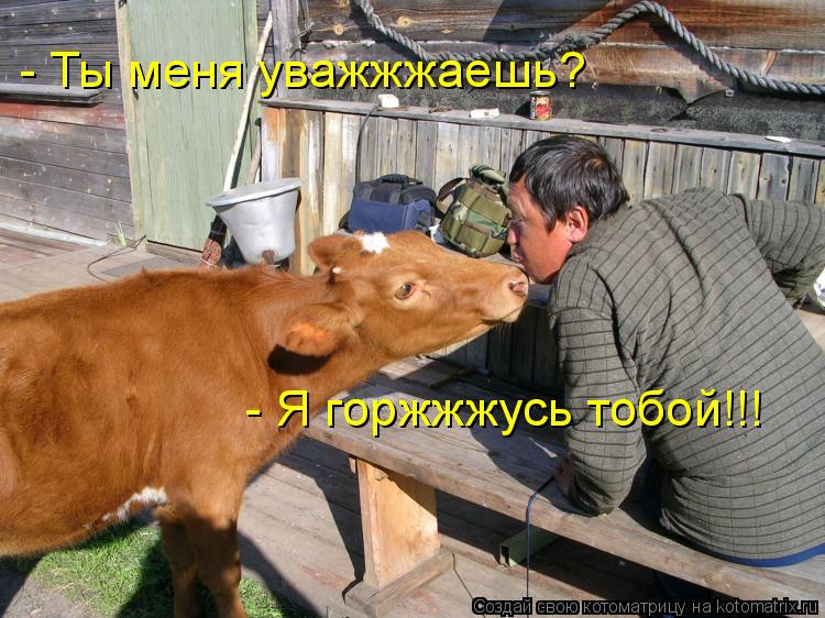 Котоматрица: - Ты меня уважжжаешь? - Я горжжжусь тобой!!!