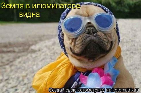 Земля в илюминаторе видна... Котоматрица: Земля в илюминаторе видна