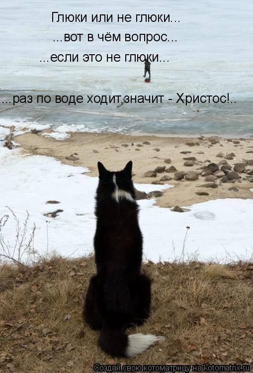 Глюки или не глюки... ...вот в чём вопрос... ...если это не глюки... ...раз по воде ходит,значит - Хр... Котоматрица: Глюки или не глюки... ...вот в чём вопрос... ...если это не глюки... ...раз по воде ходит,значит - Христос!..