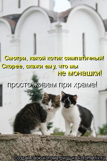 Смотри, какой котик симпатичный! Скорее, скажи ему, что мы не монашки! просто живем при храме!... Котоматрица: Смотри, какой котик симпатичный! Скорее, скажи ему, что мы не монашки! просто живем при храме!