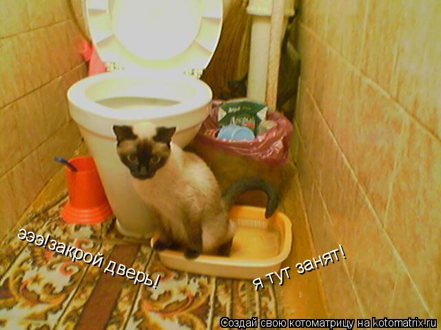 эээ!закрой дверь! я тут занят!... Котоматрица: эээ!закрой дверь! я тут занят!