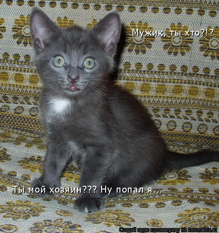 Мужик, ты хто?!? Ты мой хозяин??? Ну попал я...... Котоматрица: Мужик, ты хто?!? Ты мой хозяин??? Ну попал я...