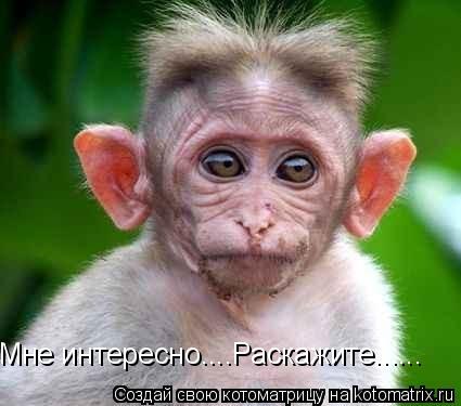 Мне интересно....Раскажите......... Котоматрица: Мне интересно....Раскажите......