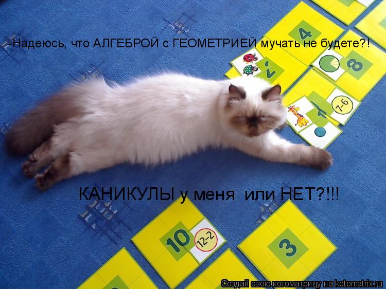 -Надеюсь, что АЛГЕБРОЙ с ГЕОМЕТРИЕЙ мучать не будете?! КАНИКУЛЫ у меня или НЕТ?!!!... Котоматрица: -Надеюсь, что АЛГЕБРОЙ с ГЕОМЕТРИЕЙ мучать не будете?! КАНИКУЛЫ у меня или НЕТ?!!!
