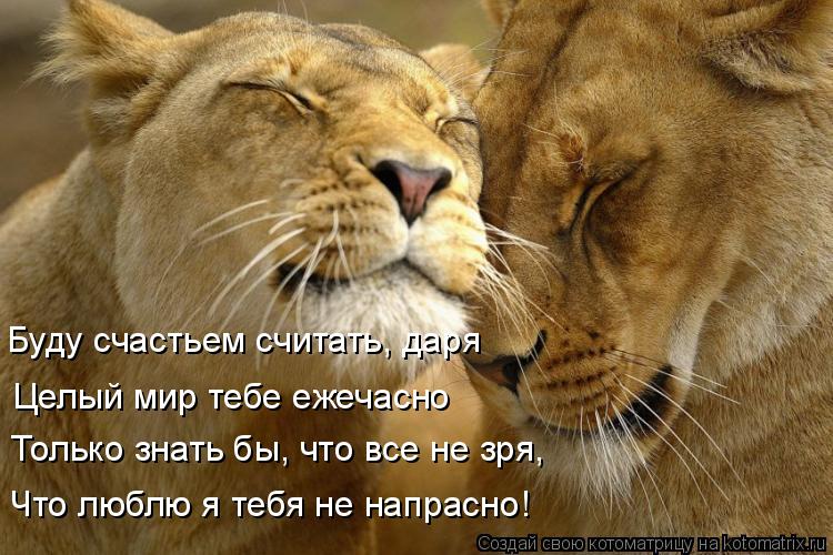 Буду счастьем считать, даря Целый мир тебе ежечасно Что люблю я тебя не напрасно! Только знать бы, ч... Котоматрица: Буду счастьем считать, даря Целый мир тебе ежечасно Что люблю я тебя не напрасно! Только знать бы, что все не зря,