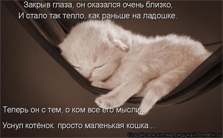 Закрыв глаза, он оказался очень близко, И стало так тепло, как раньше на ладошке… Теперь он с тем, о ... Котоматрица: Закрыв глаза, он оказался очень близко, И стало так тепло, как раньше на ладошке… Теперь он с тем, о ком все его мысли... Уснул котёнок… прост