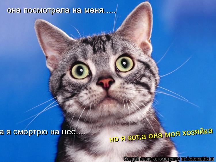 она посмотрела на меня..... а я смортрю на неё.... но я кот,а она моя хозяйка... Котоматрица: она посмотрела на меня..... а я смортрю на неё.... но я кот,а она моя хозяйка