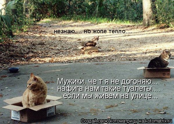 Мужики, че т я не догоняю... нафига нам такие туалеты.... если мы живем на улице... незнаю.... но жоп... Котоматрица: Мужики, че т я не догоняю... нафига нам такие туалеты.... если мы живем на улице... незнаю.... но жопе тепло....