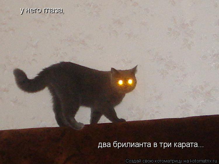 у него глаза, два брилианта в три карата...... Котоматрица: у него глаза, два брилианта в три карата...