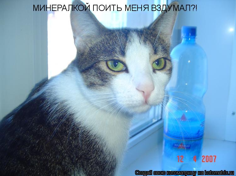 МИНЕРАЛКОЙ ПОИТЬ МЕНЯ ВЗДУМАЛ?!... Котоматрица: МИНЕРАЛКОЙ ПОИТЬ МЕНЯ ВЗДУМАЛ?!