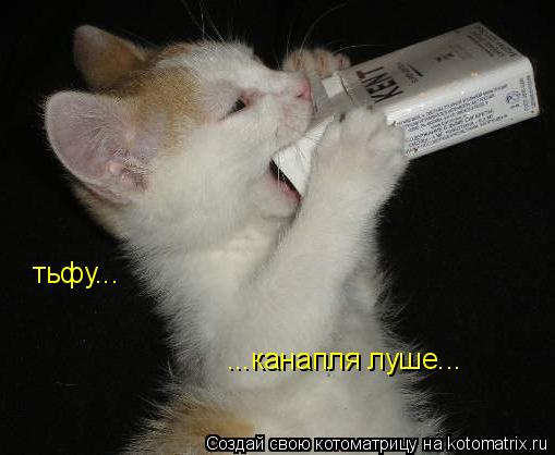 Котоматрица: тьфу... ...канапля луше...
