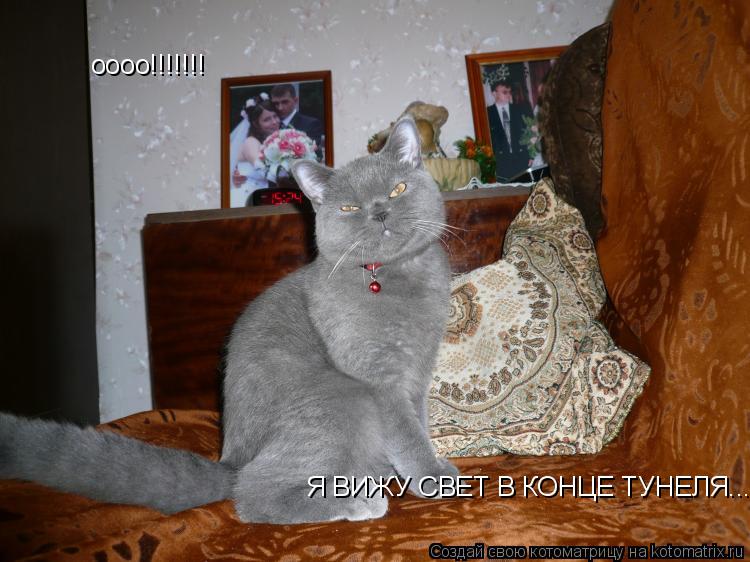 Котоматрица: оооо!!!!!!! Я ВИЖУ СВЕТ В КОНЦЕ ТУНЕЛЯ....