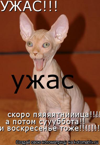 УЖАС!!! скоро пяяяятнииица!!!! а потом суууббота!! и воскресенье тоже!!!!!!!!!!!!!!!!!!!!!! ужас... Котоматрица: УЖАС!!! скоро пяяяятнииица!!!! а потом суууббота!! и воскресенье тоже!!!!!!!!!!!!!!!!!!!!!! ужас