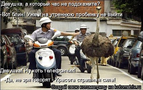 Котоматрица: Девушка, а который час не подскажите? -Вот блин! Уже и на утреннюю пробежку не выйти Девушка! Ну хоть телефончик! -Да, не зря говорят - Красота 