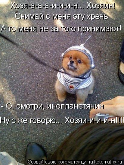 Котоматрица: Хозя-а-а-а-и-и-и-н... Хозяин!  Снимай с меня эту хрень А то меня не за того принимают! - О, смотри, инопланетянин Ну с же говорю... Хозяи-и-и-и-н!!!!