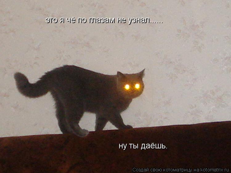 это я чё по глазам не узнал...... ну ты даёшь.... Котоматрица: это я чё по глазам не узнал...... ну ты даёшь.