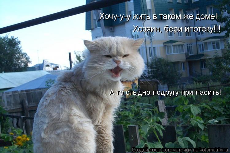 Хочу-у-у жить в таком же доме! Хозяин, бери ипотеку!!! А то стыдно подругу пригласить!... Котоматрица: Хочу-у-у жить в таком же доме! Хозяин, бери ипотеку!!! А то стыдно подругу пригласить!