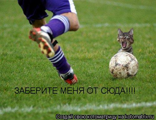 ЗАБЕРИТЕ МЕНЯ ОТ СЮДА!!!!... Котоматрица: ЗАБЕРИТЕ МЕНЯ ОТ СЮДА!!!!