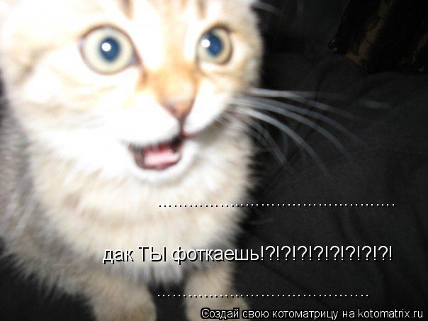 Котоматрица: .............................................. дак ТЫ фоткаешь!?!?!?!?!?!?!?!?! .........................................
