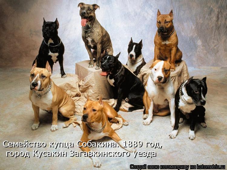Котоматрица: город Кусакин Загавкинского уезда Семейство купца Собакина. 1889 год,