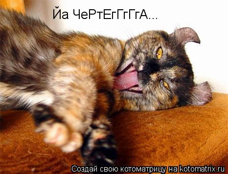 Йа ЧеРтЕгГгГгА...... Котоматрица: Йа ЧеРтЕгГгГгА...