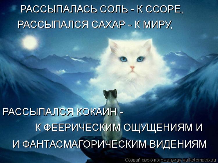 РАССЫПАЛСЯ КОКАИН - К ФЕЕРИЧЕСКИМ ОЩУЩЕНИЯМ И И ФАНТАСМАГОРИЧЕСКИМ ВИДЕНИЯМ РАССЫПАЛАСЬ СОЛЬ - К ССОР... Котоматрица: РАССЫПАЛСЯ КОКАИН - К ФЕЕРИЧЕСКИМ ОЩУЩЕНИЯМ И И ФАНТАСМАГОРИЧЕСКИМ ВИДЕНИЯМ РАССЫПАЛАСЬ СОЛЬ - К ССОРЕ, РАССЫПАЛСЯ САХАР - К МИРУ,