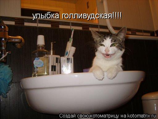улыбка голливудская!!!!... Котоматрица: улыбка голливудская!!!!