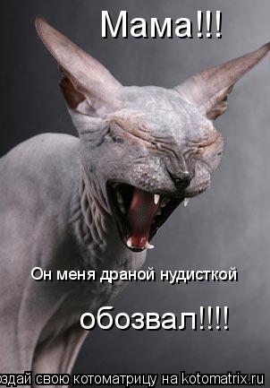 Мама!!! Он меня драной нудисткой обозвал!!!!... Котоматрица: Мама!!! Он меня драной нудисткой обозвал!!!!