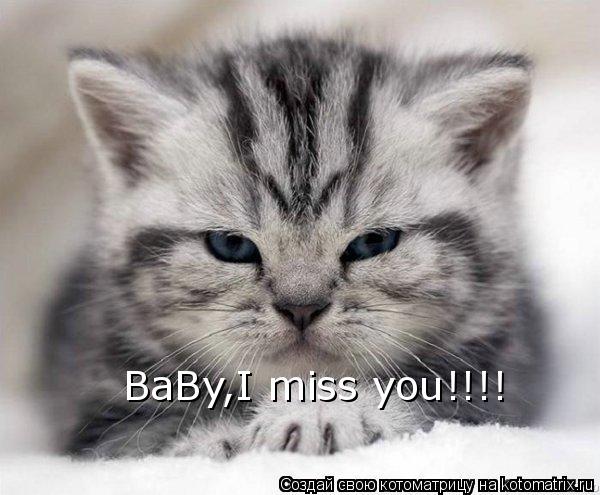BaBy,I miss you!!!!... Котоматрица: BaBy,I miss you!!!!