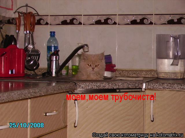 моем,моем трубочиста!... Котоматрица: моем,моем трубочиста!