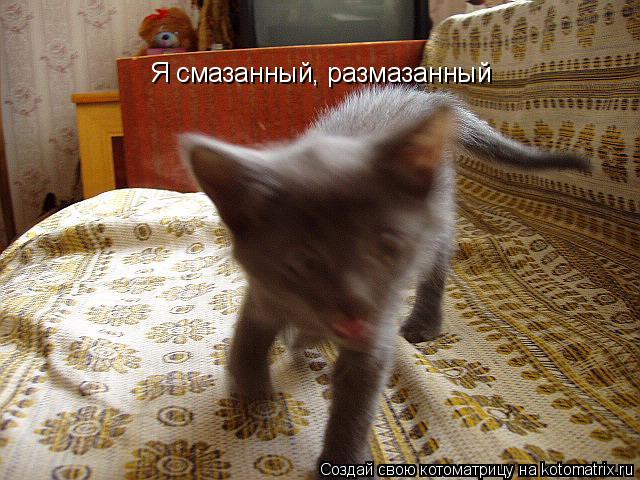 Котоматрица: Я смазанный, размазанный