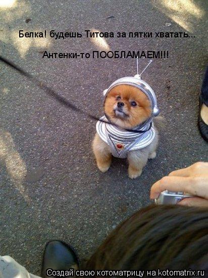 Белка! будешь Титова за пятки хватать... Антенки-то ПООБЛАМАЕМ!!!... Котоматрица: Белка! будешь Титова за пятки хватать... Антенки-то ПООБЛАМАЕМ!!!