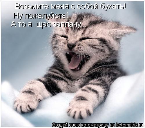 Возьмите меня с собой бухать! Ну пожалуйста! А то я щас заплачу...... Котоматрица: Возьмите меня с собой бухать! Ну пожалуйста! А то я щас заплачу...