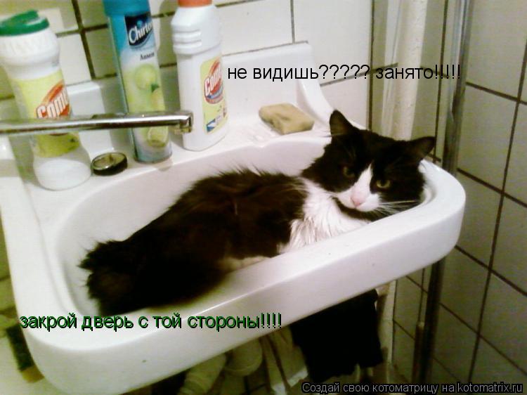 не видишь????? занято!!!!! закрой дверь с той стороны!!!!... Котоматрица: не видишь????? занято!!!!! закрой дверь с той стороны!!!!