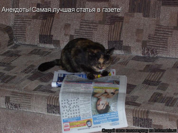 Котоматрица: Анекдоты!Самая лучшая статья в газете!