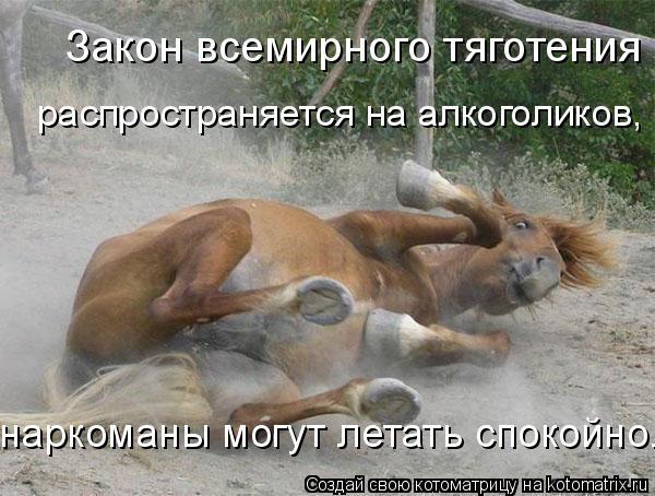 Закон всемирного тяготения распространяется на алкоголиков, распространяется на алкоголиков, наркома... Котоматрица: Закон всемирного тяготения распространяется на алкоголиков, распространяется на алкоголиков, наркоманы могут летать спокойно.