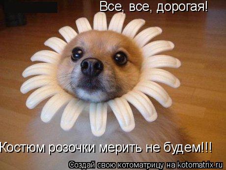 Все, все, дорогая! Костюм розочки мерить не будем!!!... Котоматрица: Все, все, дорогая! Костюм розочки мерить не будем!!!