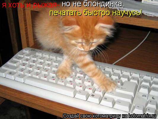 я хоть и рыжая- но не блондинка, печатать быстро научусь!... Котоматрица: я хоть и рыжая- но не блондинка, печатать быстро научусь!