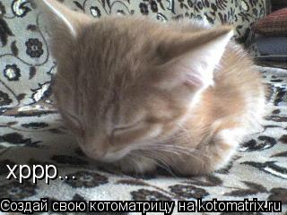 хррр...... Котоматрица: хррр...