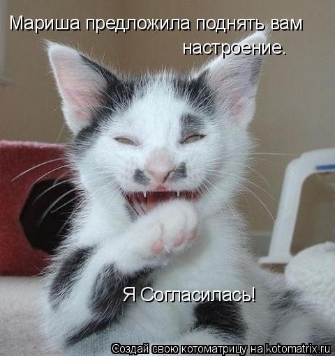 Мариша предложила поднять вам настроение. Я Согласилась!... Котоматрица: Мариша предложила поднять вам настроение. Я Согласилась!