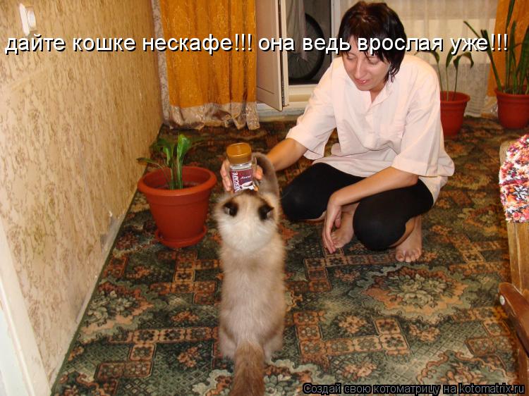 дайте кошке нескафе!!! она ведь врослая уже!!!... Котоматрица: дайте кошке нескафе!!! она ведь врослая уже!!!