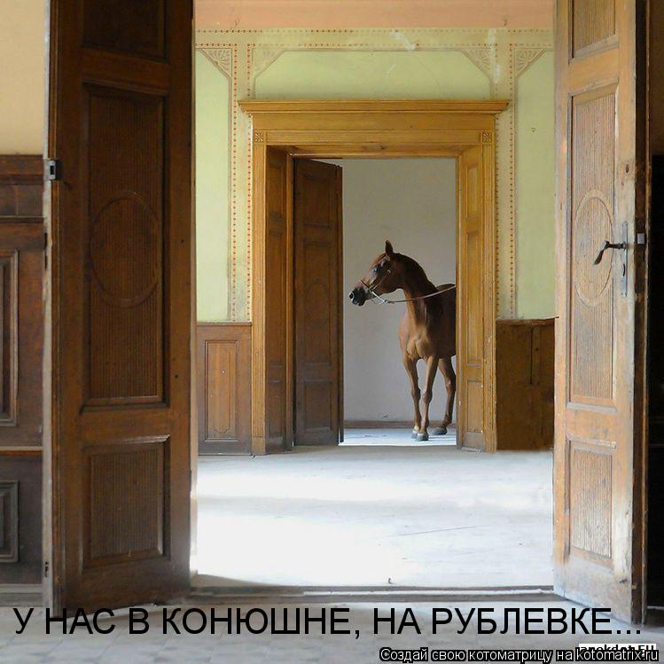 У НАС В КОНЮШНЕ, НА РУБЛЕВКЕ...... Котоматрица: У НАС В КОНЮШНЕ, НА РУБЛЕВКЕ...