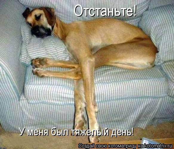 Отстаньте! У меня был тяжелый день!... Котоматрица: Отстаньте! У меня был тяжелый день!
