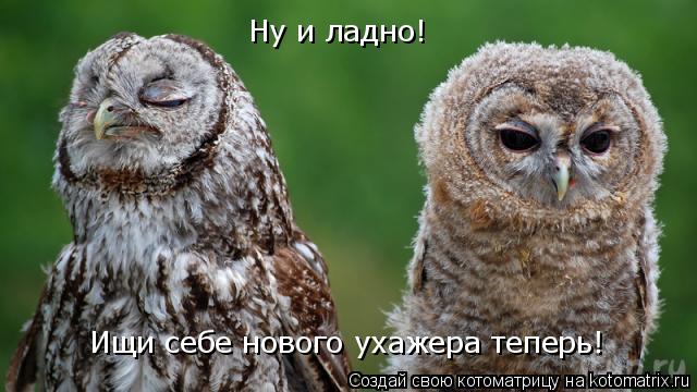Ну и ладно! Ищи себе нового ухажера теперь!... Котоматрица: Ну и ладно! Ищи себе нового ухажера теперь!