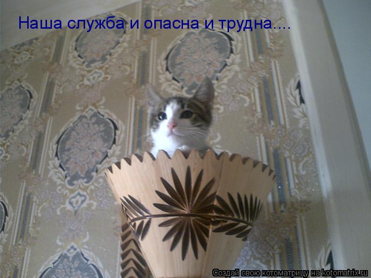 Наша служба и опасна и трудна....... Котоматрица: Наша служба и опасна и трудна....