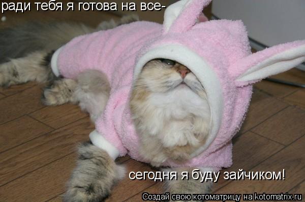 сегодня я буду зайчиком! ради тебя я готова на все-... Котоматрица: сегодня я буду зайчиком! ради тебя я готова на все-