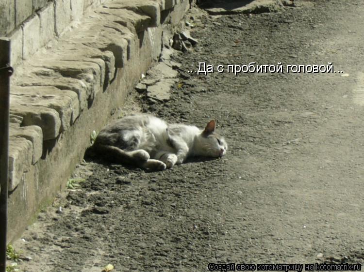 Котоматрица: ...Да с пробитой головой...