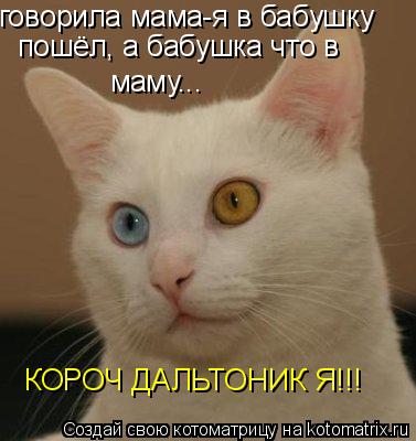 Котоматрица: говорила мама-я в бабушку пошёл, а бабушка что в  маму... КОРОЧ ДАЛЬТОНИК Я!!!