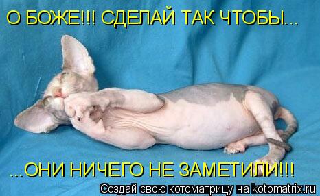 О БОЖЕ!!! СДЕЛАЙ ТАК ЧТОБЫ... ...ОНИ НИЧЕГО НЕ ЗАМЕТИЛИ!!!... Котоматрица: О БОЖЕ!!! СДЕЛАЙ ТАК ЧТОБЫ... ...ОНИ НИЧЕГО НЕ ЗАМЕТИЛИ!!!