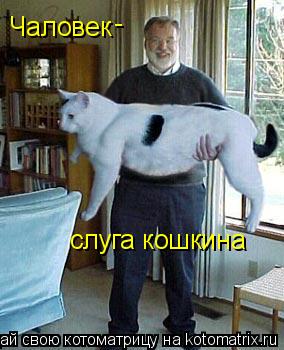 Чаловек - слуга кошкина... Котоматрица: Чаловек - слуга кошкина